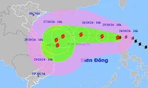 Bão Trà Mi vào Biển Đông Bão Trà Mi vào Biển Đông