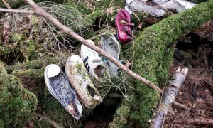 Sự thật về rừng tự sát nổi tiếng Nhật Bản